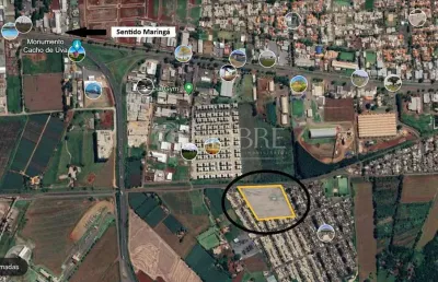 Área de 30.000 m² em marialva (ideal para casa verde amarela e verticalização)