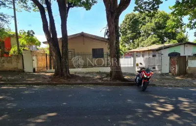 Oportunidade para investidores, rua jequitibá - parque das bandeiras