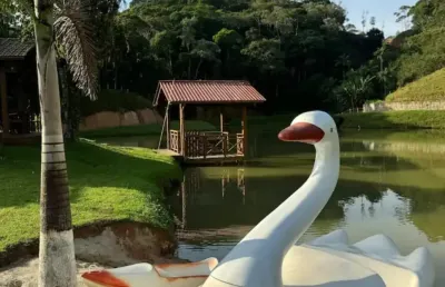Chácara / sítio com 7 quartos à venda na Rua Prefeito José Koering, Águas Mornas, Santo Amaro da Imperatriz