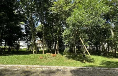 Terreno em condomínio fechado à venda na Avenida Leo Kraether, 1566, Country, Santa Cruz do Sul