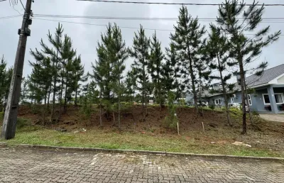 Terreno à venda na Avenida Leo Kraether, 2700, Country, Santa Cruz do Sul