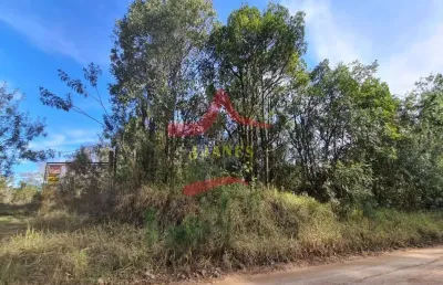 Chácara / sítio com 4 quartos à venda na estancia grande, 995, estância grande, viamão por r$ 636.000