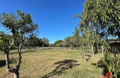 Chácara / sítio com 4 quartos à venda na Rua Augusto dos Anjos, 2390, Boa Vista do Sul, Porto Alegre