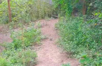 Chácara / sítio à venda na Estrada Ecoturística de Parelheiros, 3, Jardim Almeida, São Paulo