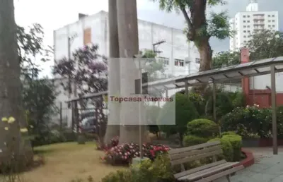 Apartamento 03 dorm. em jardim da campina  -  são paulo