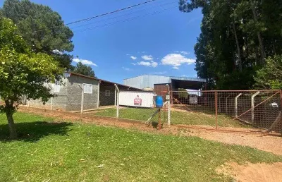 Barracão / Galpão / Depósito para alugar na Rua Antonia Buturi Necatschalon, Colônia Dona LuÍza, Ponta Grossa