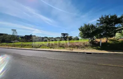 Terreno comercial para alugar na Rua Ambrósio Bricaillo, 788, Chapada, Ponta Grossa