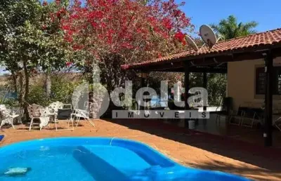 Chácara disponível para locação e venda na zona rural de uberlândia em uberlândia-mg