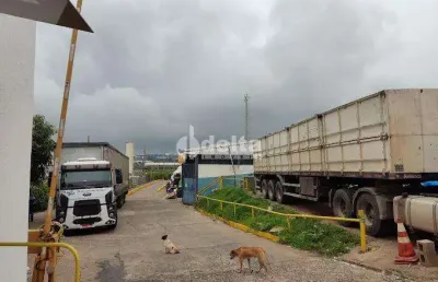 Galpão disponível para locação no bairro distrito industrial em uberlândia-mg