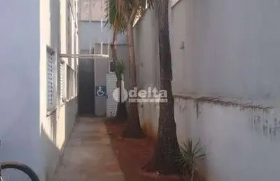 Apartamento, disponível para locação no bairro jardim holanda, uberlândia-mg