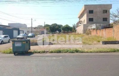 Terreno disponível para aluguel no bairro alto umuarama em uberlândia-mg