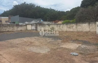 Terreno disponível para locação no bairro alto umuarama em uberlândia-mg