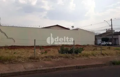 Terreno disponível para locação no bairro alto umuarama em uberlândia-mg