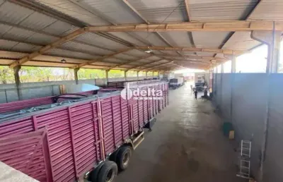 Galpão comercial disponível para locação no bairro distrito industrial em uberlândia-mg