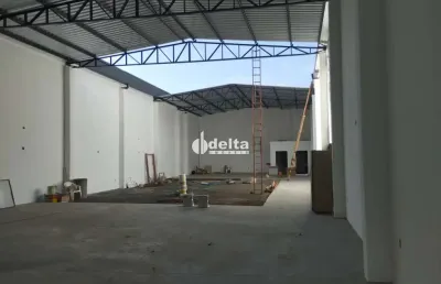 Galpão recém construído  disponível para locação no bairro alto umuarama em uberlândia-mg