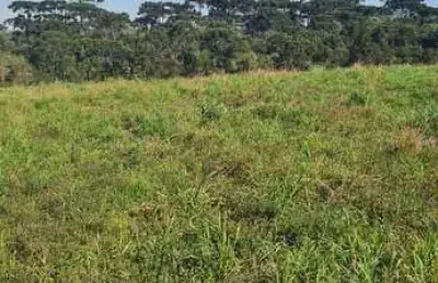 Chácara / sítio à venda na Estrada Salto Do Engenho, Centro, Campo Alegre