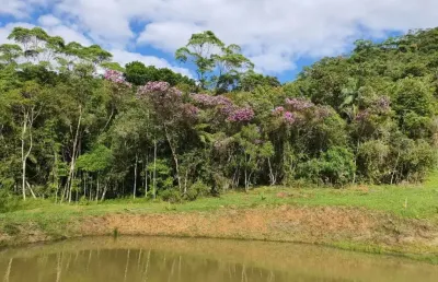 Sítio para venda em são pedro de alcântara/sc - si240