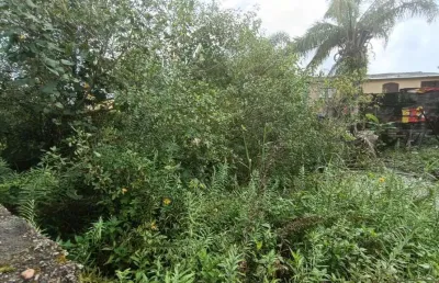 Terreno para venda em itanhaém, jardim das palmeiras