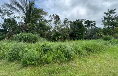 Terreno para venda, peruíbe / sp. possui liberação ambiental  ok
