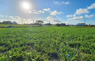 Vendo lote com 450 m2, alta vista, b. de são miguel