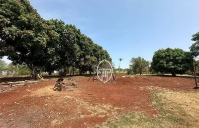 Chácara à venda, 6000 m² por r$ 550.000 - frei timóteo - jataizinho/pr