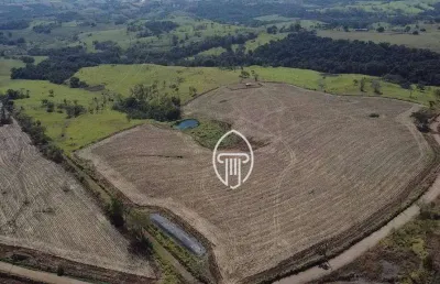 Sítio à venda, 22 alqueires por r$ 4.400.000 - zona rural - jataizinho/pr