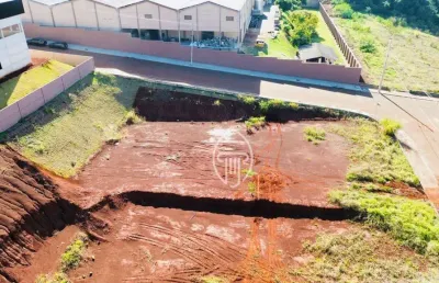 Terreno à venda, 1300 m² por r$ 550.000 - san rafael - ibiporã/pr
