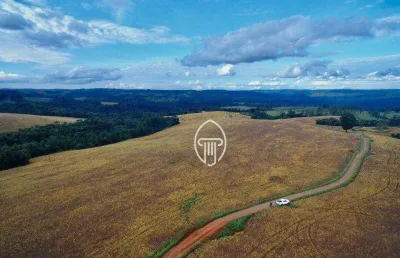 Fazenda à venda, 400 alqueires por r$ 65.000.000 - zona rural - tamarana/pr