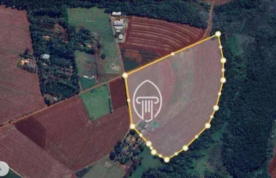 Sítio à venda, 6 alqueires por r$ 4.800.000 - zona rural - cambé/pr