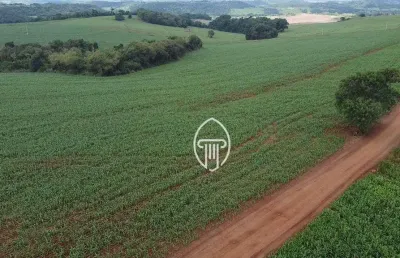 Sítio à venda, 13,2 alqueires por r$ 4.800.000 - zona rural - ibiporã/pr