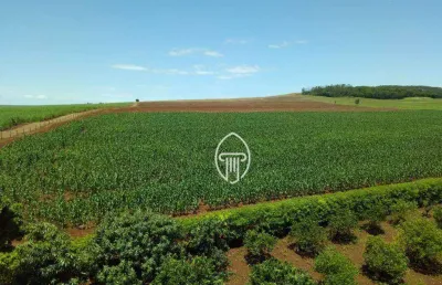 Fazenda à venda, 50 alq. por r$ 15.000.000 - bela vista do paraíso/pr