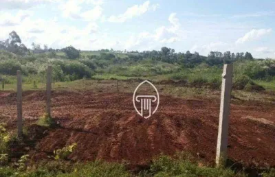 Terreno à venda, 4250 m² por r$ 350.000,00 - jataizinho  - jataizinho/pr