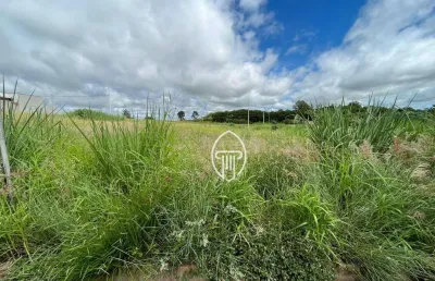 Terreno à venda, 255 m² por r$ 180.000,00 - henrique a pereira - ibiporã/pr