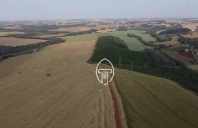 Fazenda à venda, 130 alqueires por r$ 65.000.000 - zona rural - londrina/pr