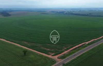 Fazenda à venda, 105 alqueires por r$ 35.000.000 - rural - farol/pr