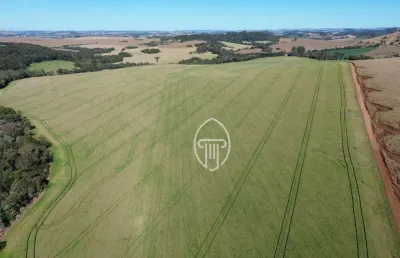 Fazenda à venda, 289 alqueires por r$ 72.250.000 - zona rural - londrina/pr