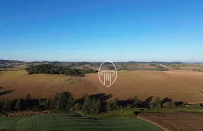 Sítio à venda, 33 alqueires paulistas por r$ 9.900.000 - zona rural - jataizinho/pr