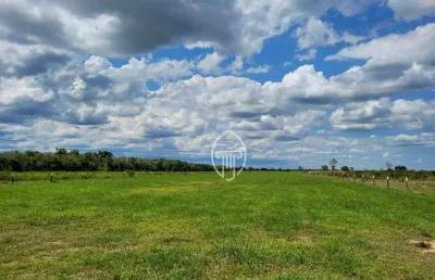 Fazenda à venda, 61350000 m² por r$ 92.000.000 - zona rural - santo antônio do leverger/mt