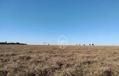Fazenda à venda, 2070 hectares por r$ 82.800.000 - zona rural - figueirão/ms