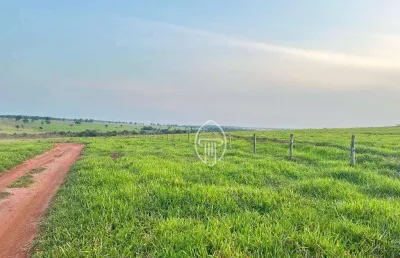 Fazenda à venda, 1316 hecatres por r$ 50.000.000 - zona rural - campo grande/ms
