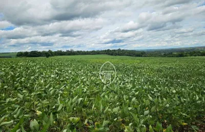 Fazenda à venda, 214 alqueires paulistas por r$ 44.000.000 - presidente prudente/sp
