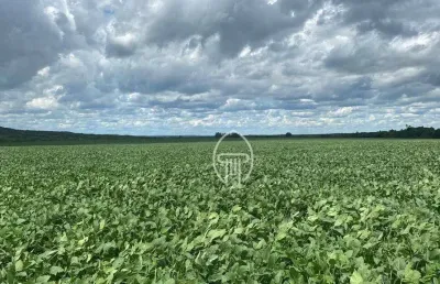 Fazenda à venda, 964 hectares por r$ 43.750.000 - zona rural - rosário oeste/mt