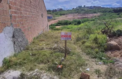 Terreno para venda em pesqueira, loteamento leonardo gomes