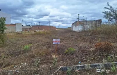 Terreno à venda na Loteamento Miguel Lins De Freitas, Pedra Redonda, Pesqueira