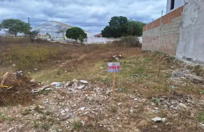 Terreno à venda na Loteamento Miguel Lins De Freitas, s/n, Pedra Redonda, Pesqueira