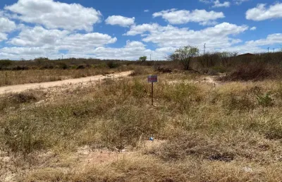 Terreno à venda na As Marges Da Br 232, Centro, Pesqueira