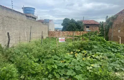 Terreno à venda na Rua Maria Rosa De Oliveira, Pedra Redonda, Pesqueira