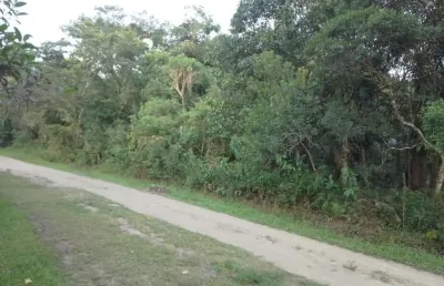 Terreno à venda na Rua Antonio Bento Da Silva (Antiga Rua 1), Guaraú, Peruíbe