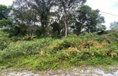 Terreno à venda no São Fernando, Itanhaém 