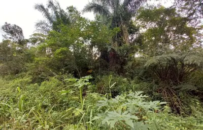 Terreno à venda no Jardim São Francisco, Peruíbe 